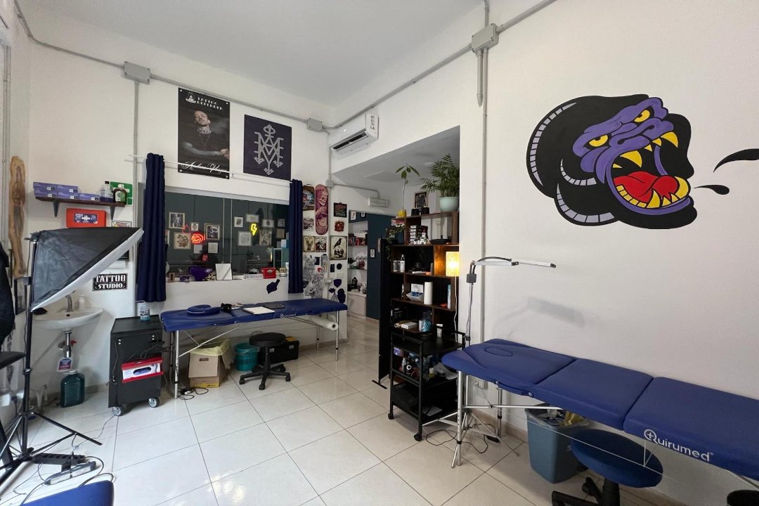 Gorillas Family, Viale Argonne, Milano