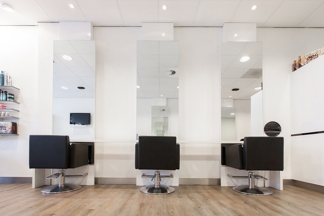 Regillio's Hair, Stadsdriehoek, Rotterdam