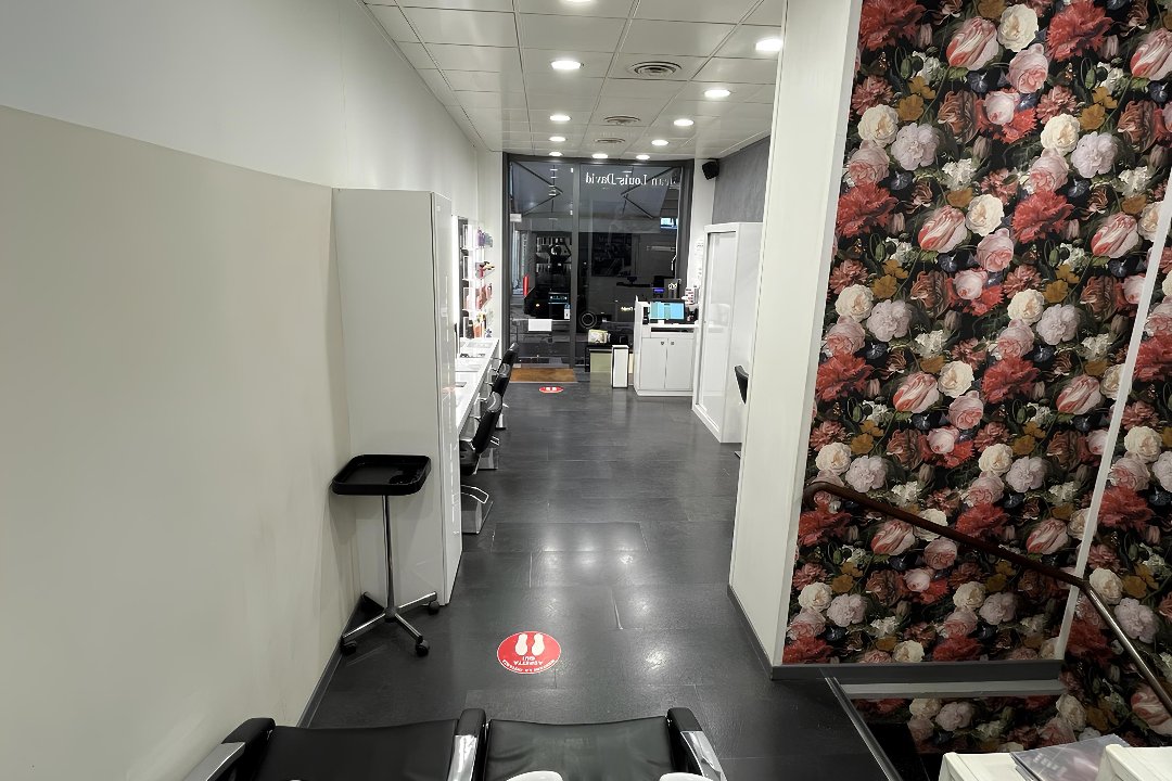 Jean Louis David Meravigli, Via Meravigli, Milano