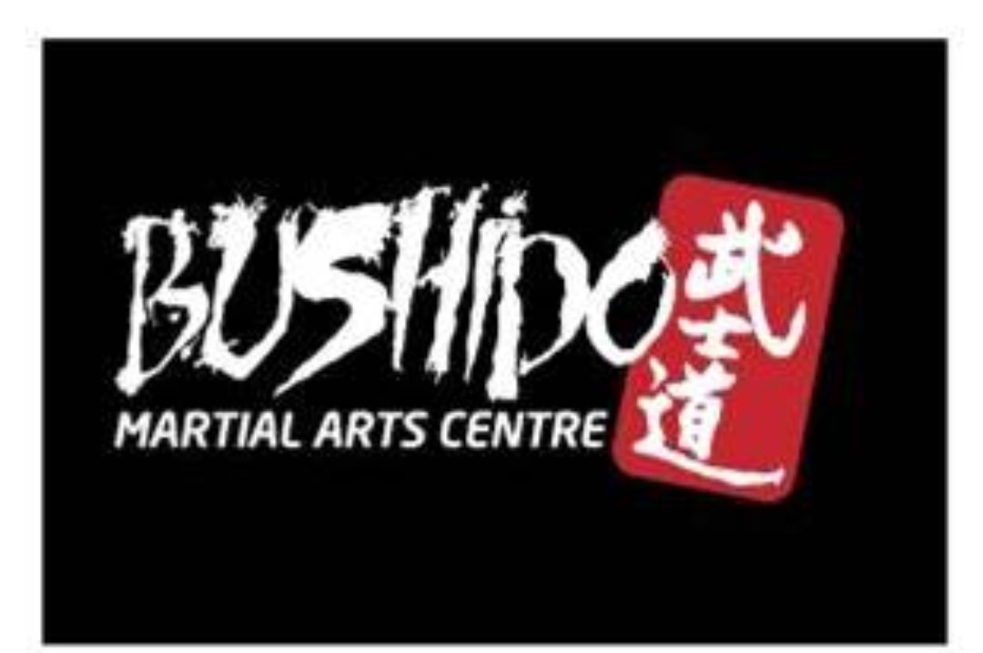 Bushido Martial Arts & Fitness Centre, Lowestoft, Suffolk